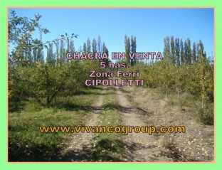 Chacra 5 has. - Cipolletti - Provincia de Río Negro - Argentina