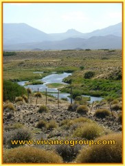 Campo 5.000 has. - El Huecú - Provincia de Neuquén