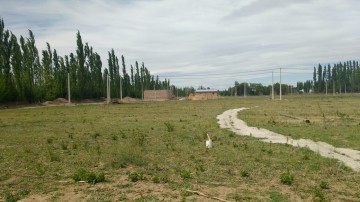 Lote en La Casona II, Plottier