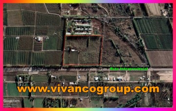 FRACCIÓN COMERCIAL - Se vende Chacra 6,84 has. con frente a Ruta Interprovincial - Cipolletti - Provincia de Río Negro 