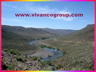 Campo de 10.000 has. - Río Trocomán - Cordillera de los Andes - Provincia de Neuquén