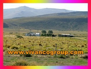 Se vende Campo de 5.000 has. en la cordillera de Neuquén - Zona El Huecú - Provincia de Neuquén