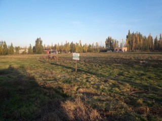  Lote de 1000 m2 en la ciudad de Fernández Oro.