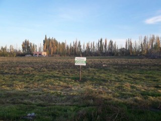  Lote de 1000 m2 en la ciudad de Fernández Oro.