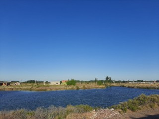 Lotes en venta en Loteo abierto residencial Las Lagunas de Plottier, China Muerta, Plottier.