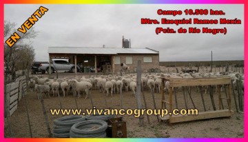 Campo 10500 has. - Ministro Ramos Mexía - Departamento 9 de Julio - Provincia de Río Negro