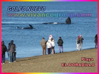 Se vende Lote de 2,2 has. en El Doradillo - Pto. Madryn - Pcia. de Chubut