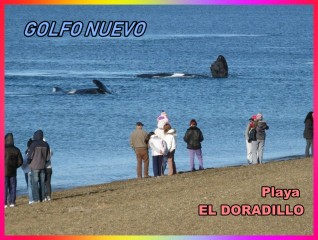 Se vende Lote de 100 x 200 m. en "Parque Ecológico - Área El Doradillo" - Puerto Madryn - Provincia de Chubut