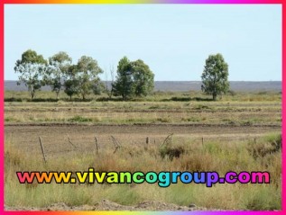 Se vende Campo 350 has. - Zona Catriel / Peñas Blancas - Provincia de Río Negro - Patagonia - Argentina