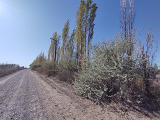 Campo En Venta De 7.5ha Sargento Vidal, Rio Negro