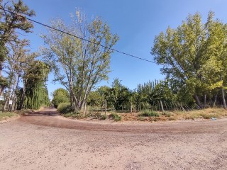 En Venta Chacra 12,6ha en Ingreso a Cipolletti. Apta Servicio De Ruta y Urm. Maipu y Raul Labraña