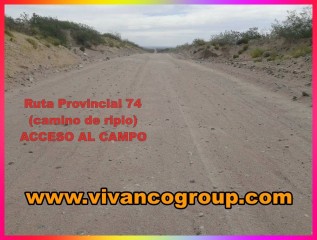 Se vende Campo 2.800 has. - Zona Cerro Policía - Provincia de Río Negro - Patagonia - Argentina