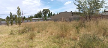 Terreno En Venta B° Los Tordos - Cipolletti - APTO 3 UNIDADES FUNCIONALES -