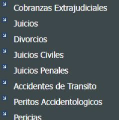 JR Asesor - Investigadores Privados - Detectives Privados - Búsquedas - Delitos Económicos - Infidelidad