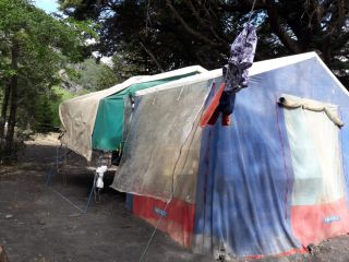 Trailer Batan Carpa RIDAO